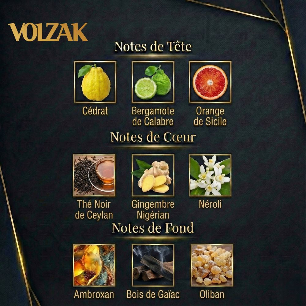 PARFUM VISIONARY 100ML HOMME