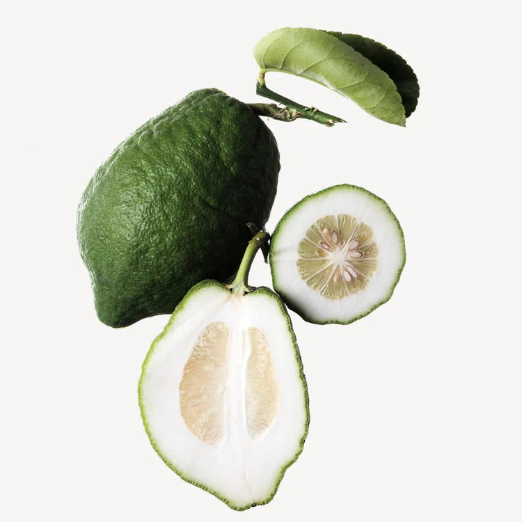 PARFUM VISIONARY 100ML HOMME