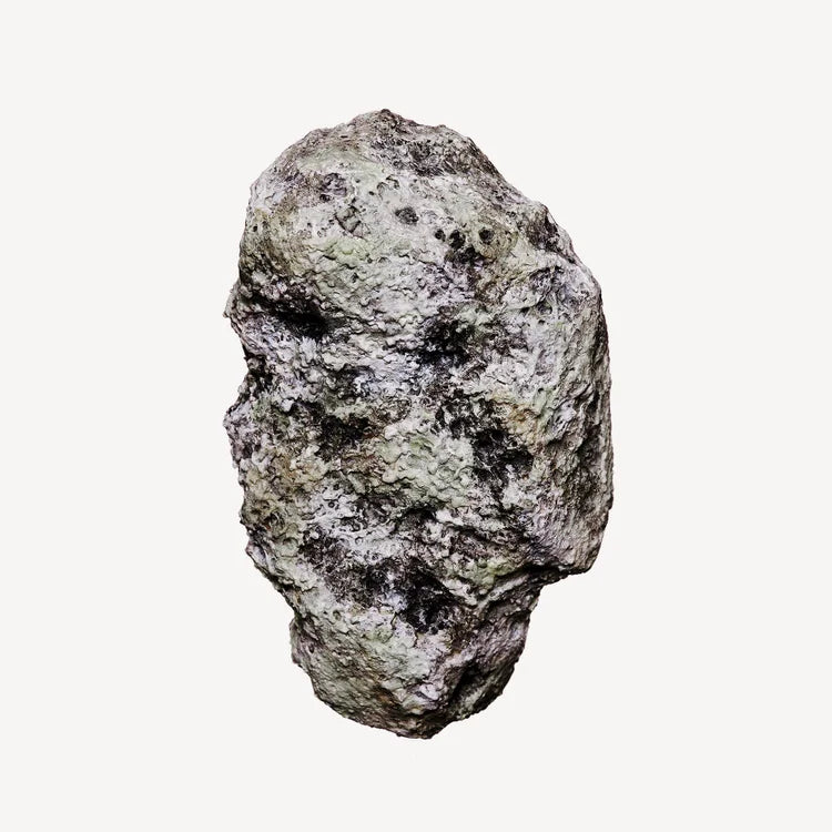 PARFUM VISIONARY 100ML HOMME