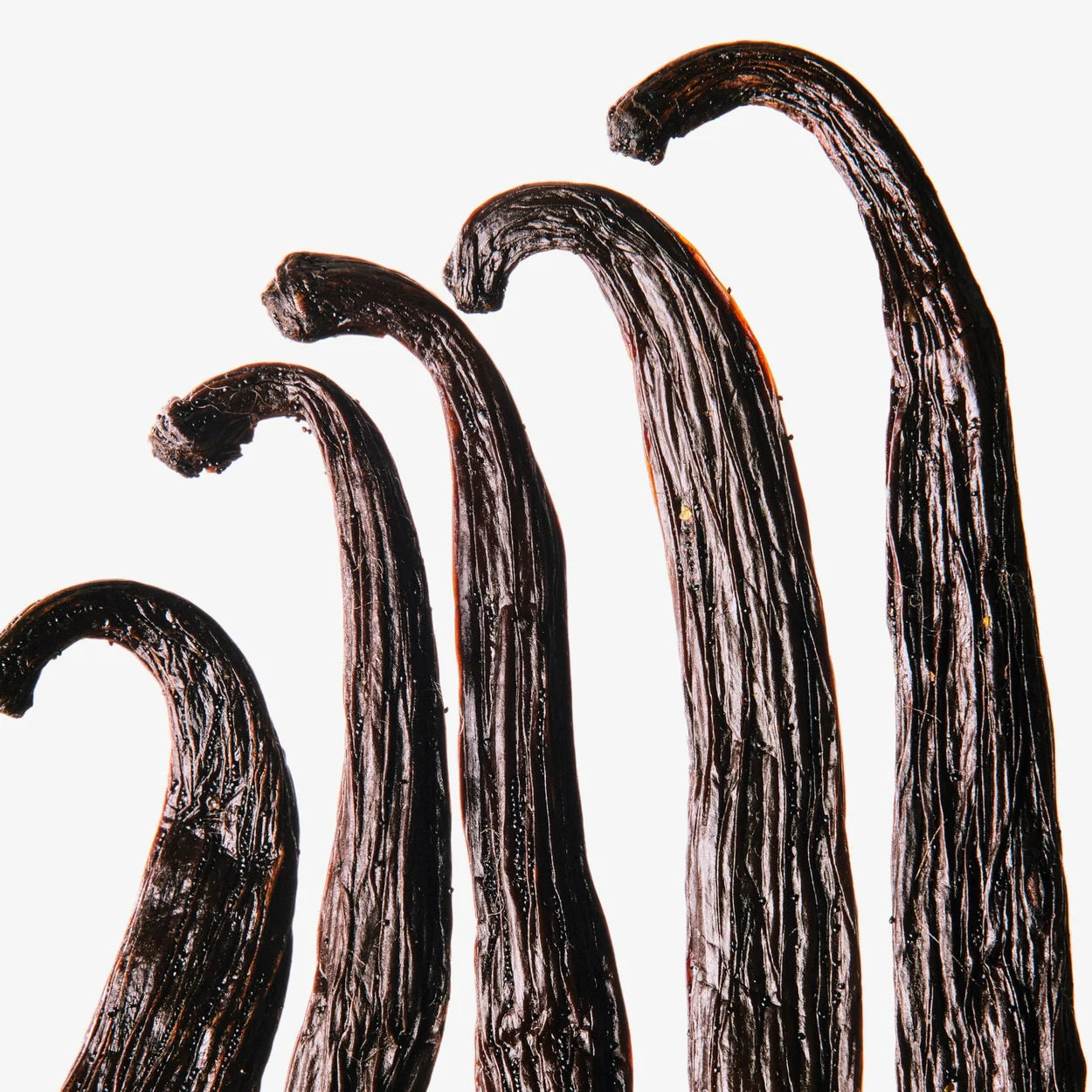 VOLZAK PARFUM PARFUM ICONIC 100ML FEMME