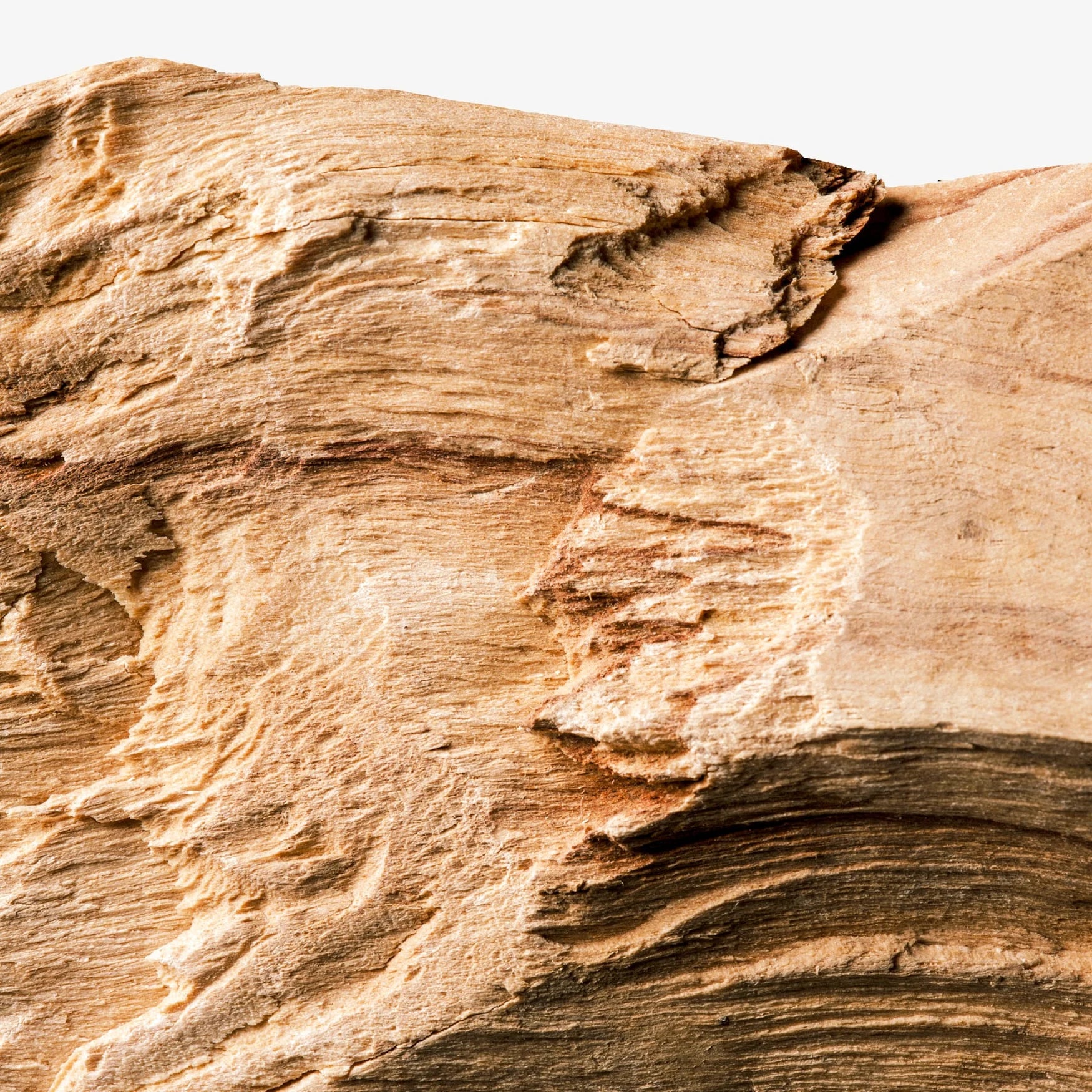 PARFUM VISIONARY 100ML HOMME